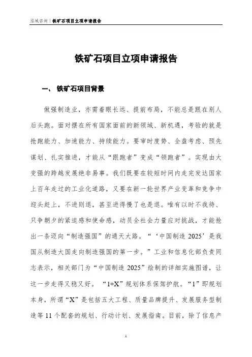 铁矿石项目立项申请报告