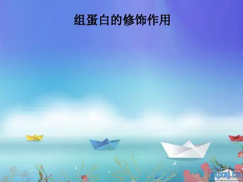 组蛋白的修饰作用