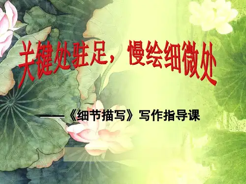 细节描写公开课(张ppt)