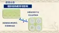 组织行为学(组织结构差异与影响)
