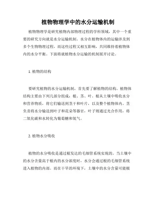 植物物理学中的水分运输机制