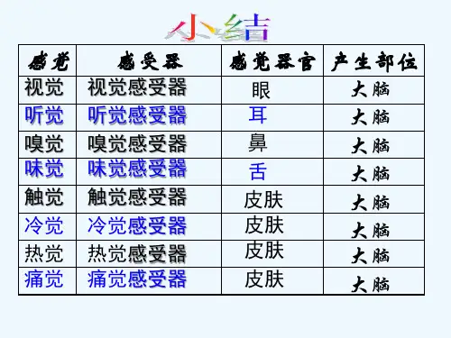 七年级科学《声音的发生和传播》课件