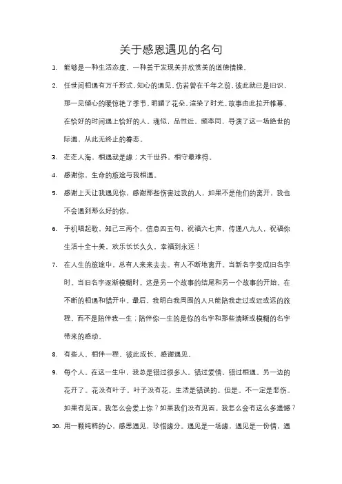 关于感恩遇见的名句