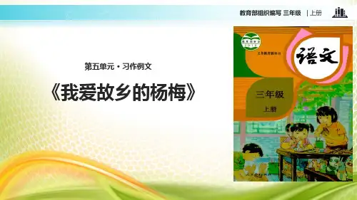 《我爱故乡的杨梅》PPT下载[优秀课件]