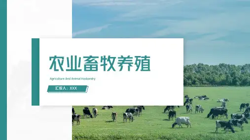农业畜牧养殖通用PPT模板