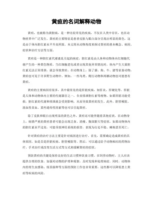黄疸的名词解释动物