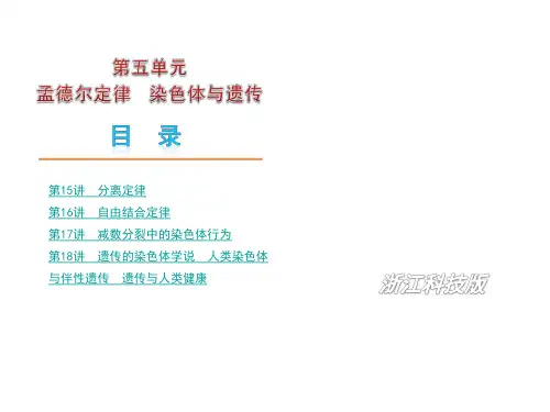 同源染色体上的等位基因的分离。