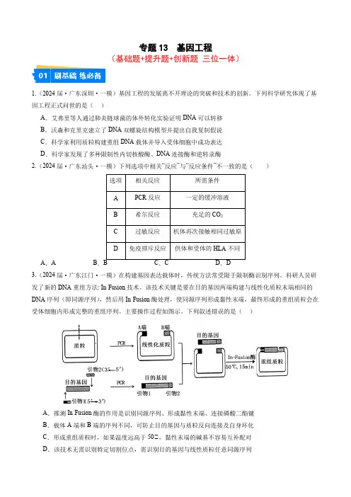 专题13 基因工程-2024年高考生物一模试题分类汇编(广东专用)(原卷版)