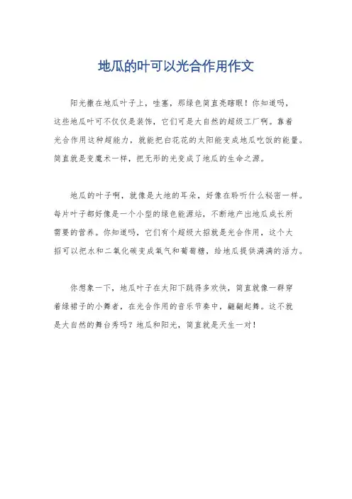 地瓜的叶可以光合作用作文