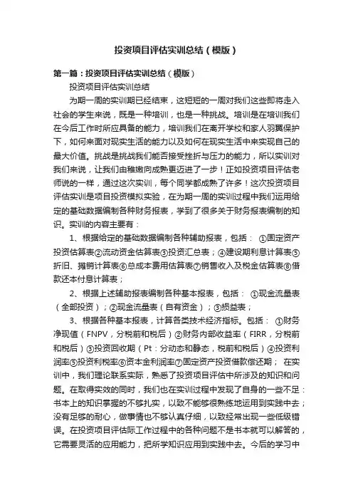 投资项目评估实训总结（模版）
