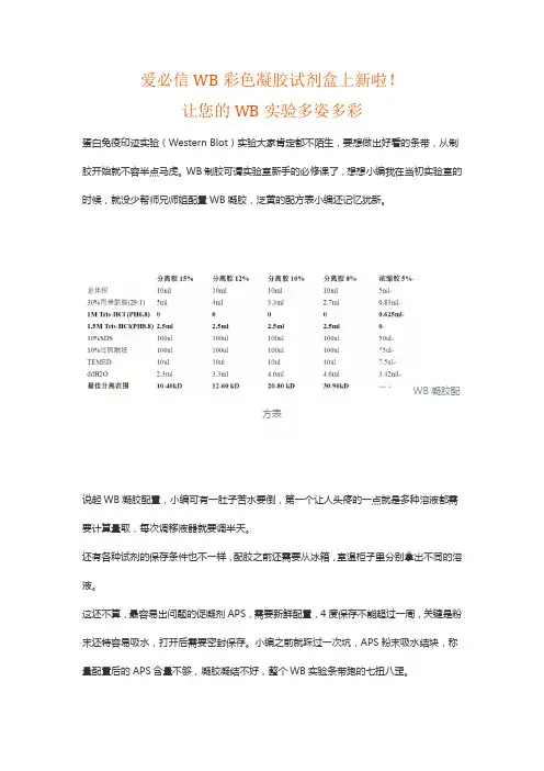 爱必信WB彩色凝胶试剂盒上新啦!让您的WB实验多姿多彩