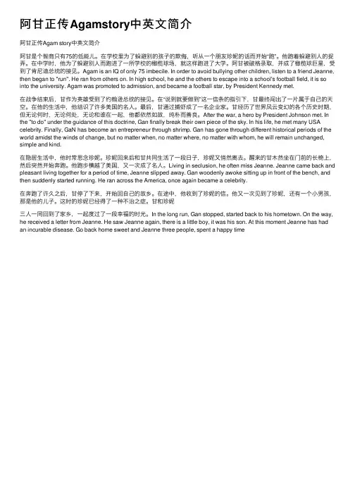 阿甘正传Agamstory中英文简介