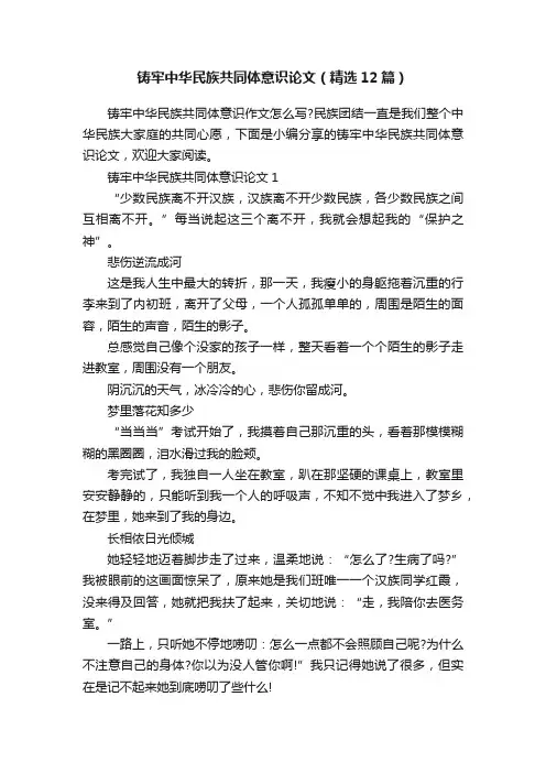 铸牢中华民族共同体意识论文（精选12篇）
