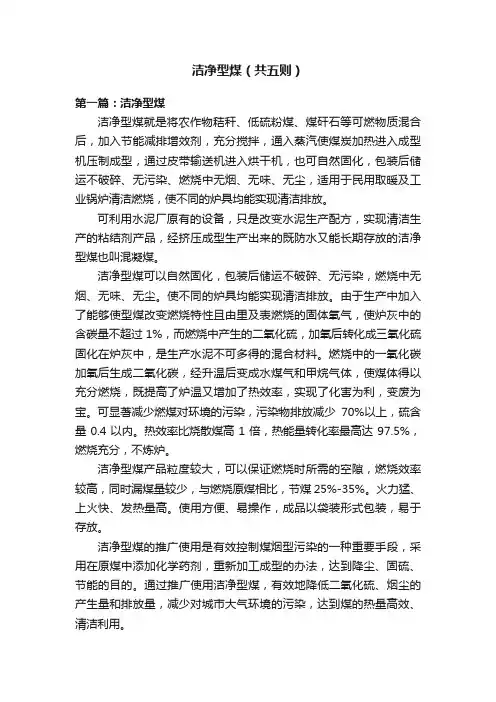 洁净型煤（共五则）