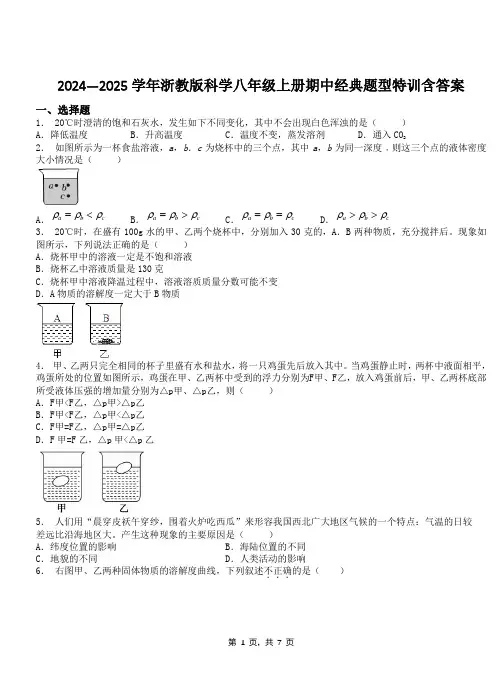 2024—2025学年浙教版科学八年级上册期中经典题型特训含答案
