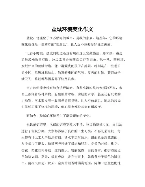 盐城环境变化作文
