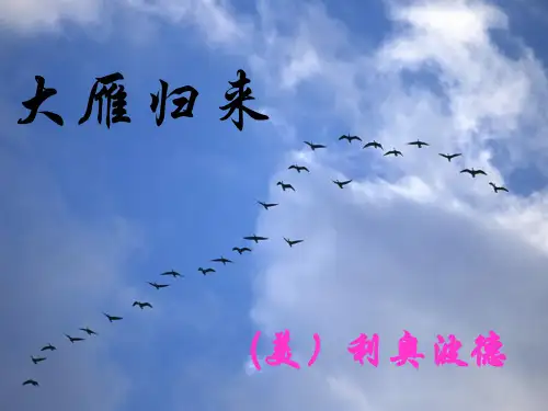 《大雁归来》公开课课件