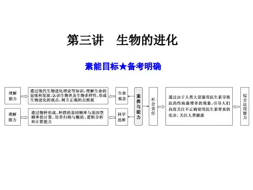 高中生物必修2(生物的进化)