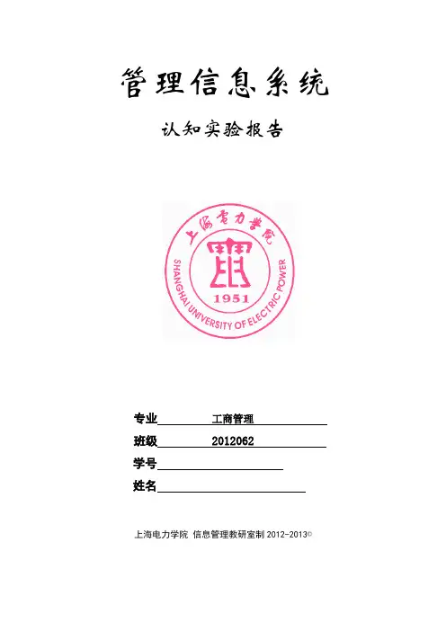 上海电力学院管理信息系统认知实验报告