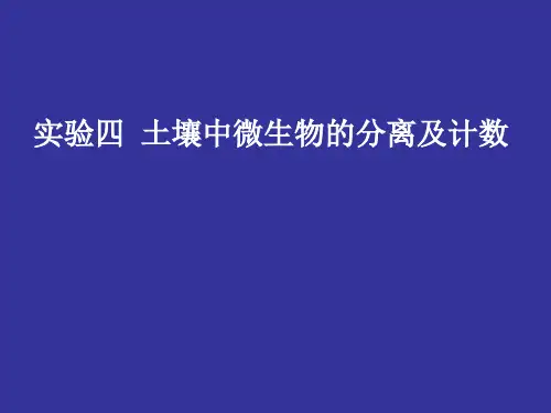 土壤中微生物的分离