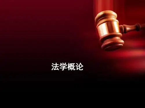 法学概论 第九章PPT讲义