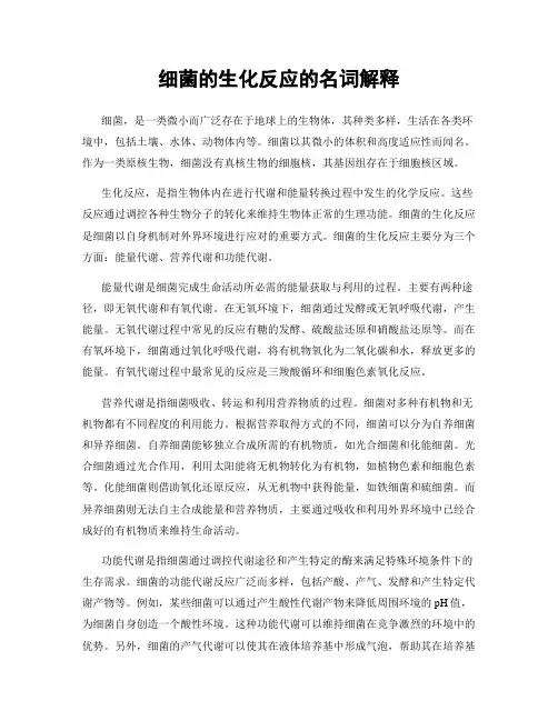 细菌的生化反应的名词解释
