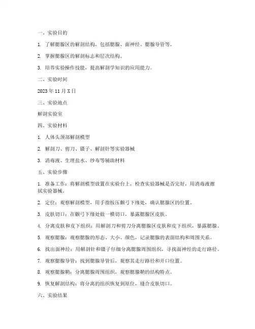解剖腮腺区实验报告