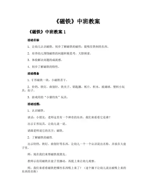 《磁铁》中班教案