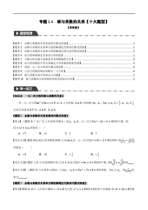 初中数学专题：根与系数的关系【十大题型】(举一反三)