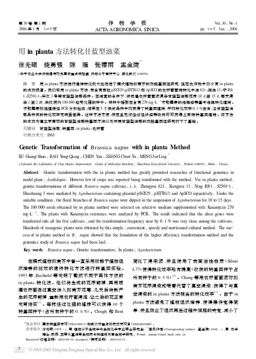 用in planta方法转化甘蓝型油菜