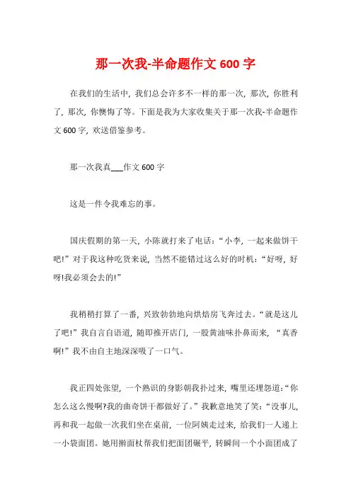 那一次我-半命题作文600字