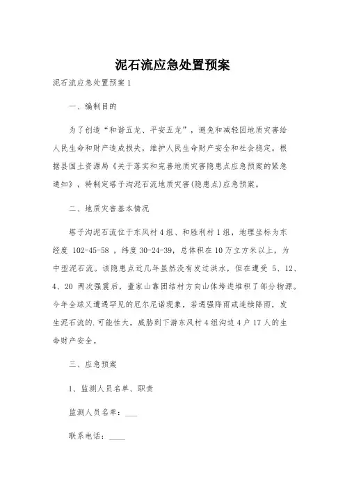 泥石流应急处置预案