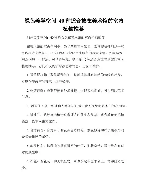 绿色美学空间  40种适合放在美术馆的室内植物推荐