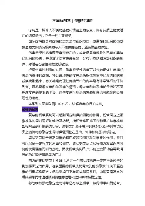 疼痛解剖学｜颈椎的韧带