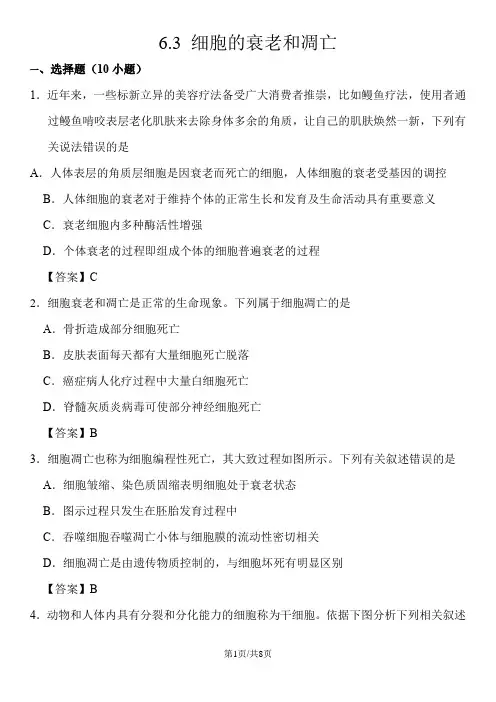 高一生物(人教版)必修一课时同步练习：6.3 细胞的衰老和凋亡
