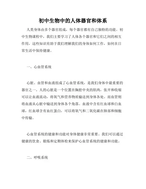 初中生物中的人体器官和体系