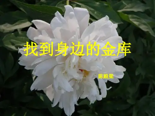 大学专业介绍 PPT课件