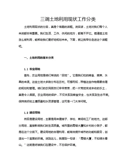 三调土地利用现状工作分类