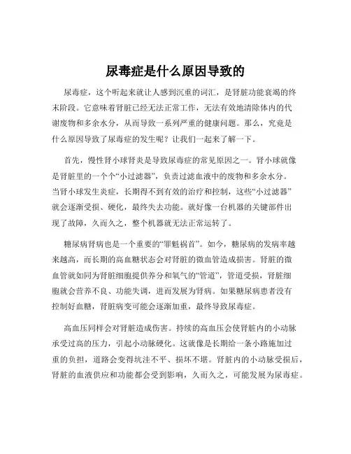 尿毒症是什么原因导致的