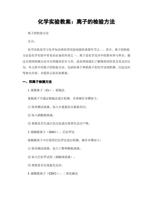 化学实验教案：离子的检验方法 (2)