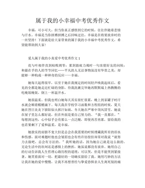 属于我的小幸福中考优秀作文