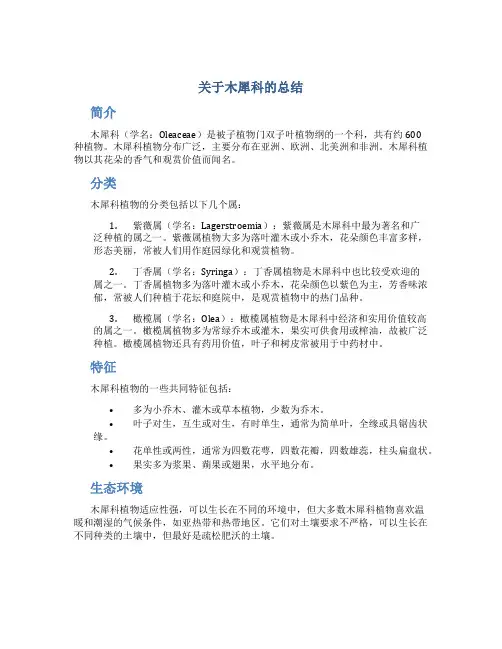 关于木犀科的总结