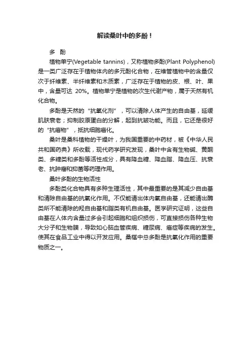 解读桑叶中的多酚！