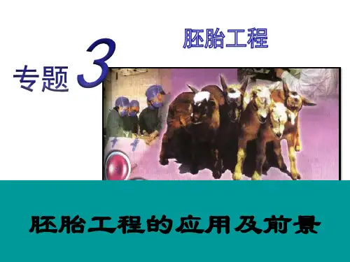 3.3胚胎移植