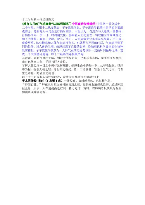 十二时辰和人体经络图文