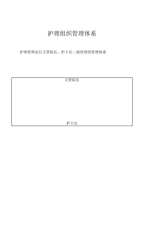 XX医院护理组织管理体系完整版