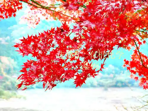 高考化学大一轮复习 选修5 第1节 有机化合物的结构、分类与命名课件 鲁科鲁科高三选修5化学课件