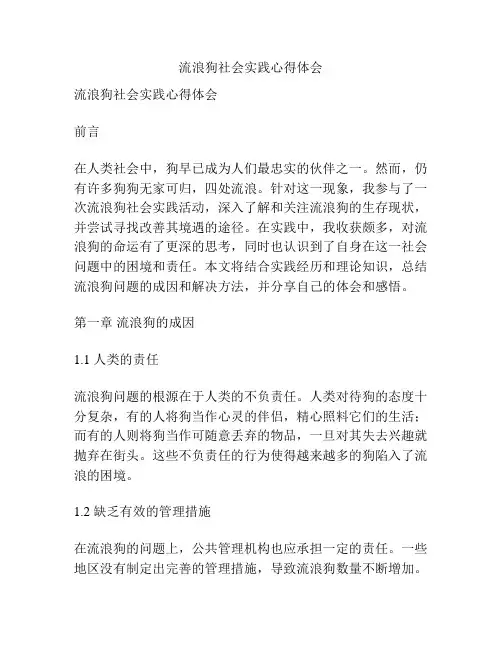 流浪狗社会实践心得体会