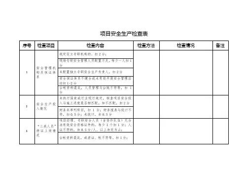 项目安全生产检查表