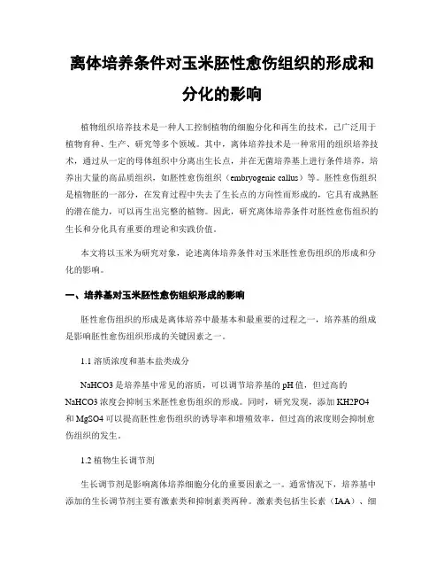 离体培养条件对玉米胚性愈伤组织的形成和分化的影响